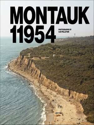 cover image of Montauk 11954
